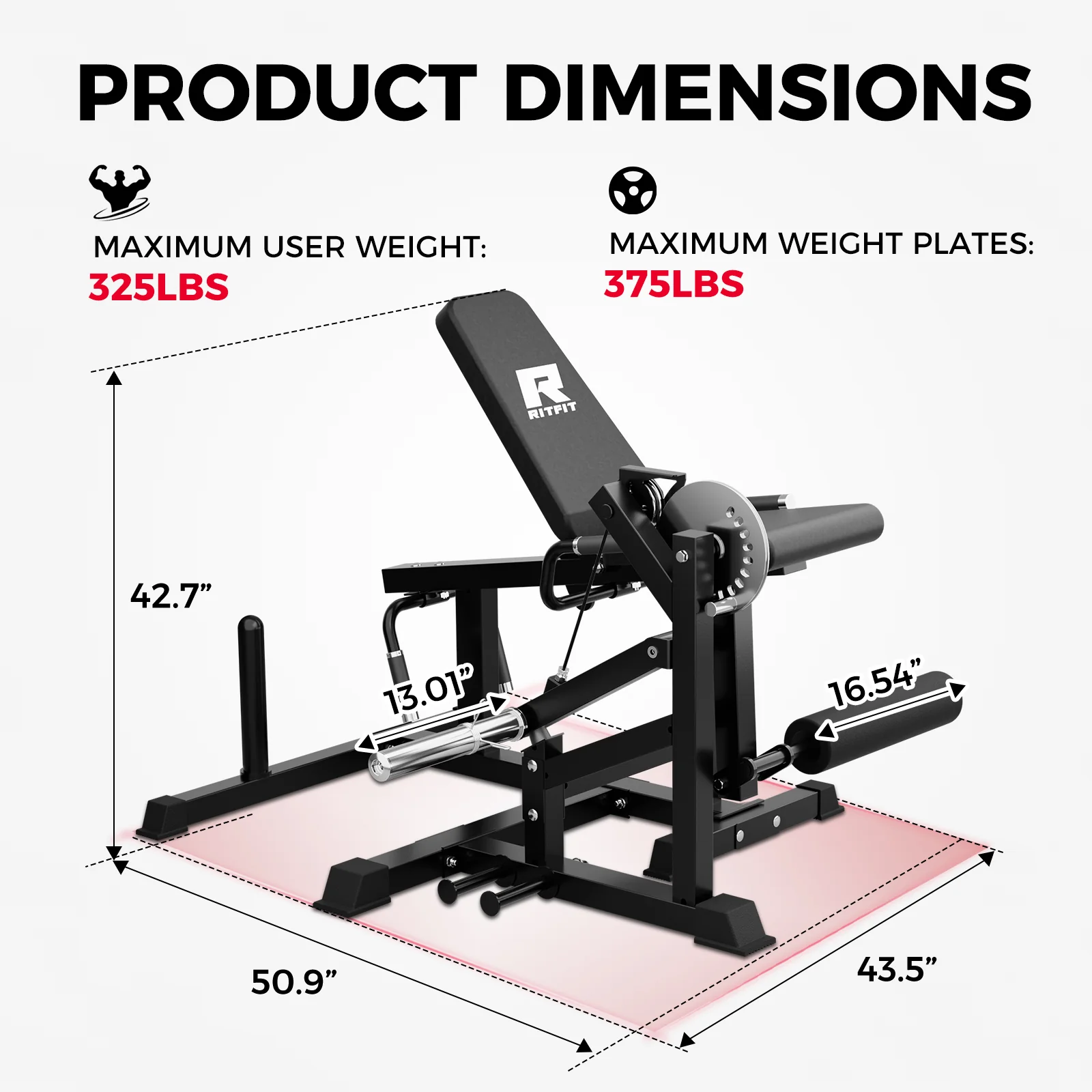 RitFit PLC01 Leg Extension Curl Machine - Image 5