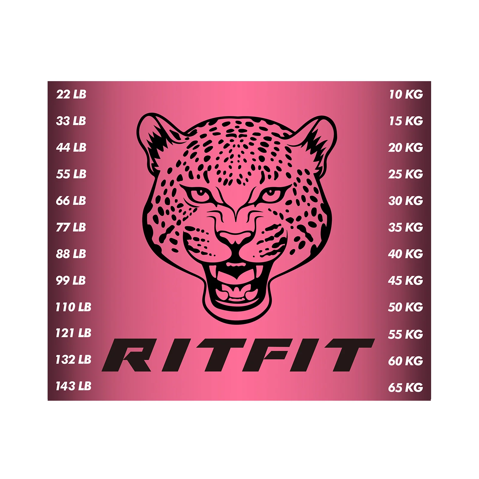 RitFit M1 PRO / M2 PRO Weight Stack Stickers - Image 3