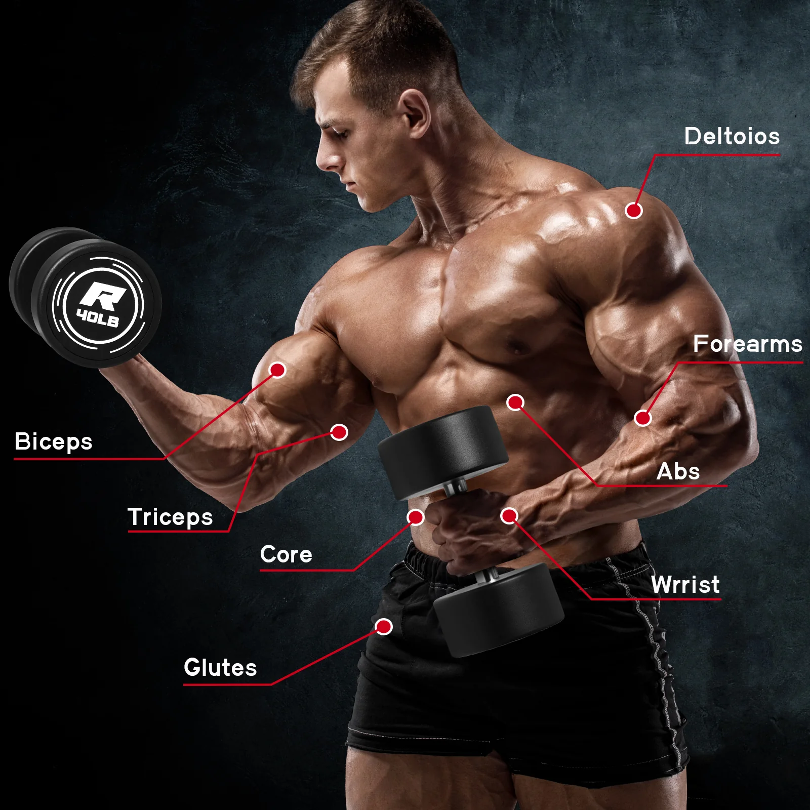 RitFit PVC-Coated Round Dumbbells in Pairs - Image 5