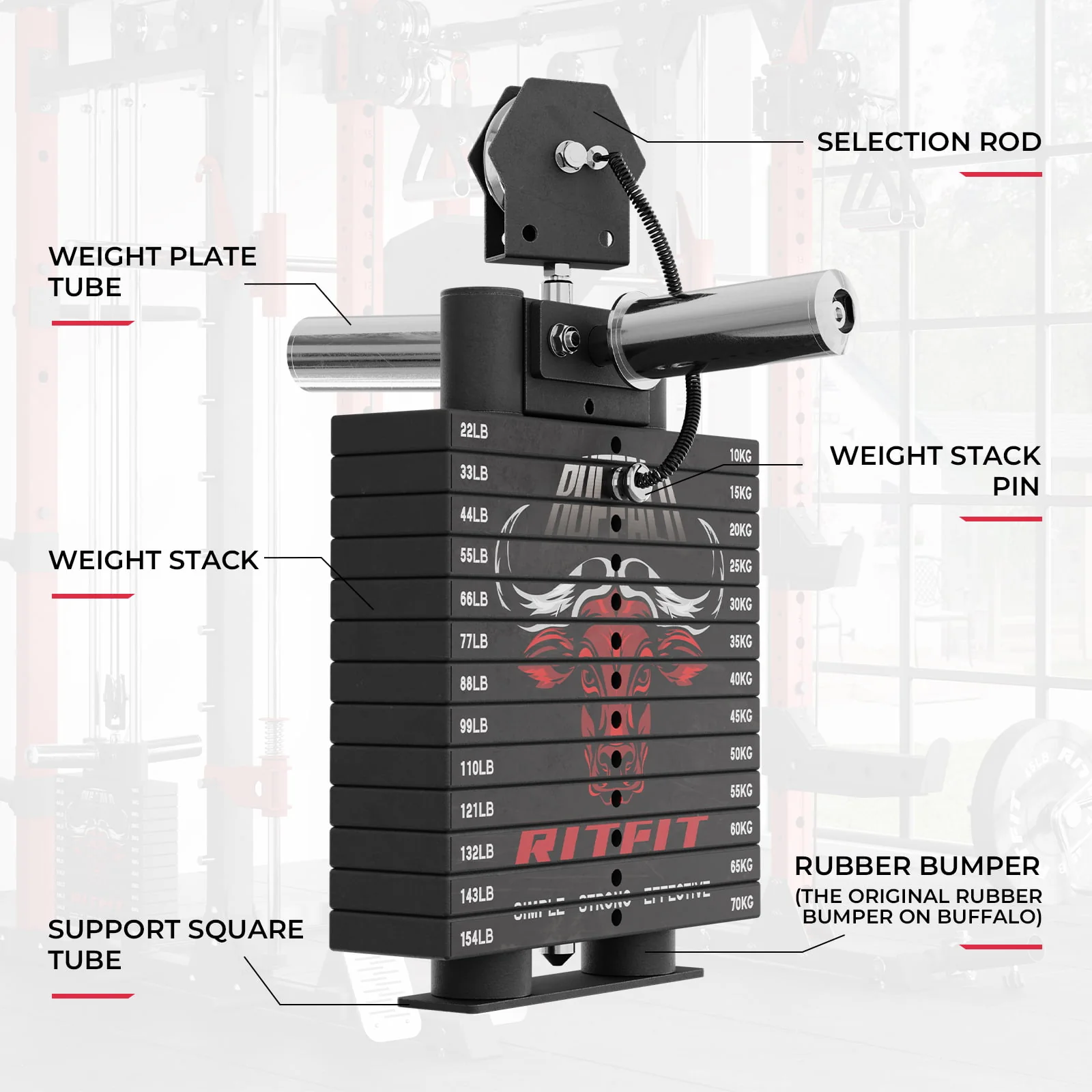 RitFit WSBFL Weight Stack Set 286lbs for Buffalo - Image 5
